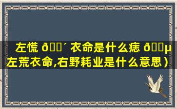 左慌 🐴 衣命是什么痣 🐵 （左荒衣命,右野耗业是什么意思）